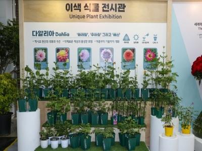 2026고양국제꽃박람회의 실내전시관  