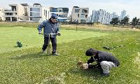 인천 서구, 베어즈베스트청라GC 등 4개 골프장 농약 잔류량 검사 결과 ‘양호’